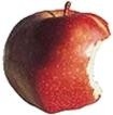d'adam et d'eve